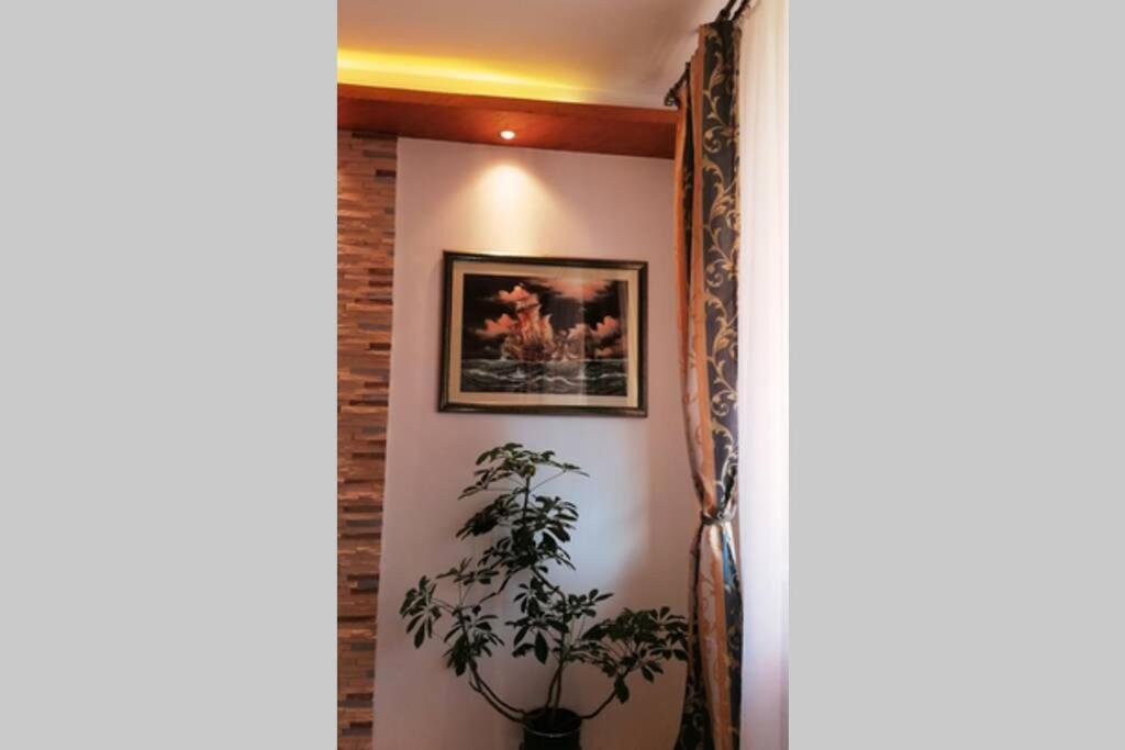 Oasis Felix Apartment Beograd Ngoại thất bức ảnh