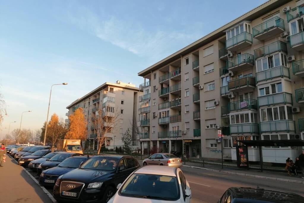Oasis Felix Apartment Beograd Ngoại thất bức ảnh