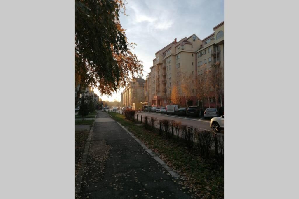Oasis Felix Apartment Beograd Ngoại thất bức ảnh